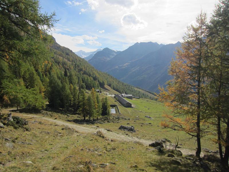 20121006_152500_Mandelon 020.JPG